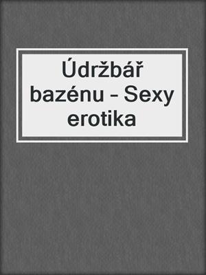 cover image of Údržbář bazénu – Sexy erotika