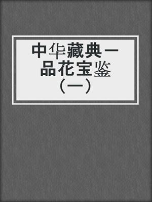 中华藏典－品花宝鉴（一）