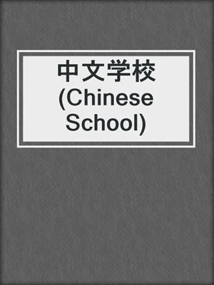 中文学校 (Chinese School)