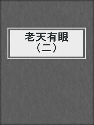 老天有眼（二）