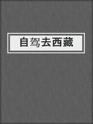 自驾去西藏