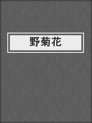 野菊花