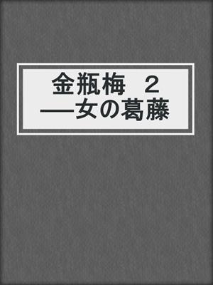 cover image of 金瓶梅　２　──女の葛藤