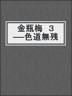 cover image of 金瓶梅　３　──色道無残