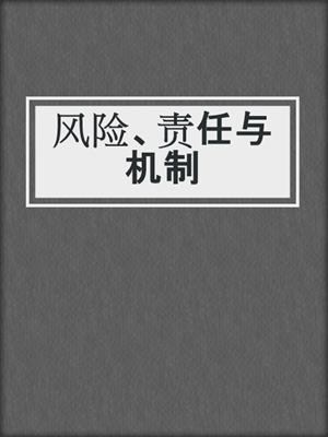 风险、责任与机制