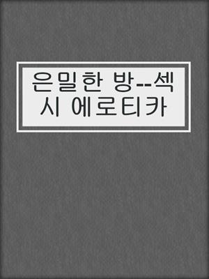 cover image of 은밀한 방--섹시 에로티카