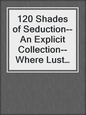 cover image of 120 Shades of Seduction--An Explicit Collection--Where Lust Meets Literature, Page After Page