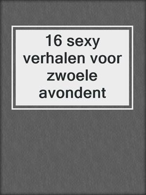 cover image of 16 sexy verhalen voor zwoele avondent