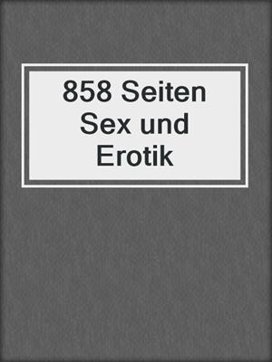 cover image of 858 Seiten Sex und Erotik