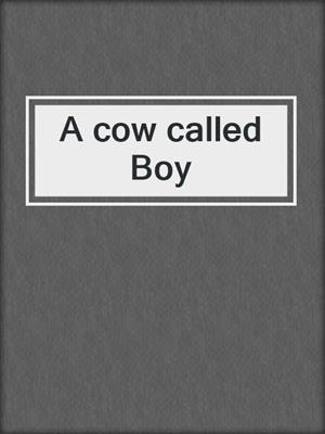 A cow called Boy