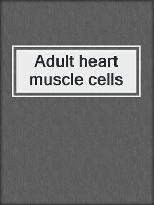 Adult heart muscle cells