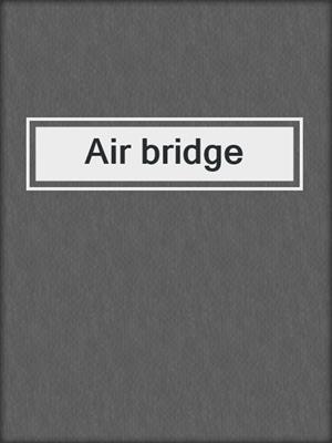 Air bridge