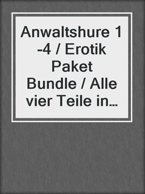 cover image of Anwaltshure 1-4 / Erotik Paket Bundle / Alle vier Teile in einem E-Book / 4 Erotische Roman