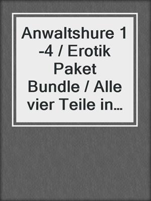 Anwaltshure 1-4 / Erotik Paket Bundle / Alle vier Teile in einem E-Book / 4 Erotische Roman