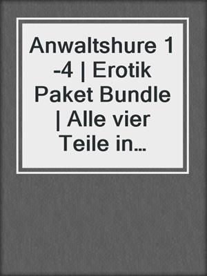 cover image of Anwaltshure 1-4 | Erotik Paket Bundle | Alle vier Teile in einem E-Book | 4 Erotische Roman
