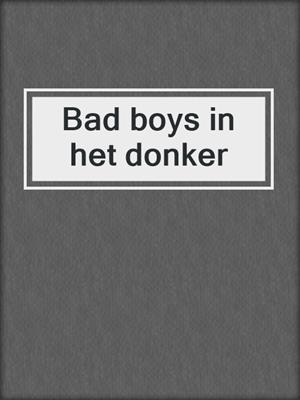 cover image of Bad boys in het donker