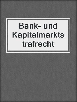 Bank- und Kapitalmarktstrafrecht