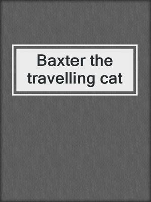 Baxter the travelling cat