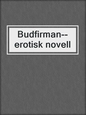 Budfirman--erotisk novell