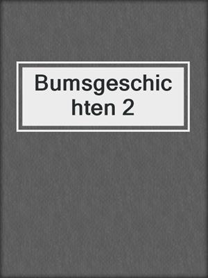 cover image of Bumsgeschichten 2
