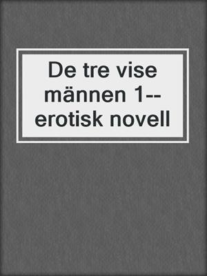 cover image of De tre vise männen 1--erotisk novell