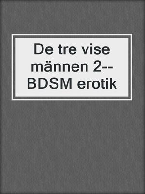 cover image of De tre vise männen 2--BDSM erotik