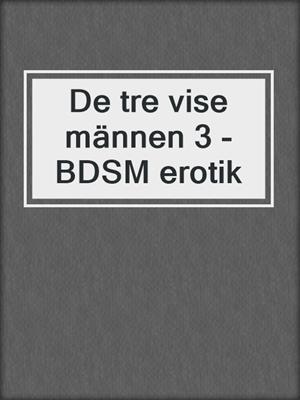 cover image of De tre vise männen 3 - BDSM erotik