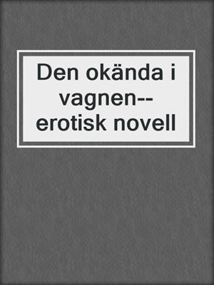 cover image of Den okända i vagnen--erotisk novell