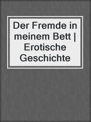 Der Fremde in meinem Bett | Erotische Geschichte