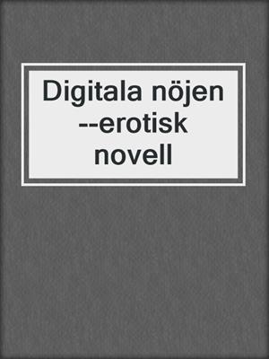 Digitala nöjen--erotisk novell