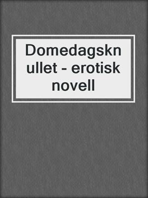 cover image of Domedagsknullet - erotisk novell