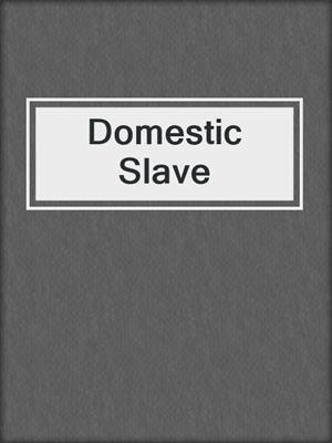 cover image of Domestic Slave