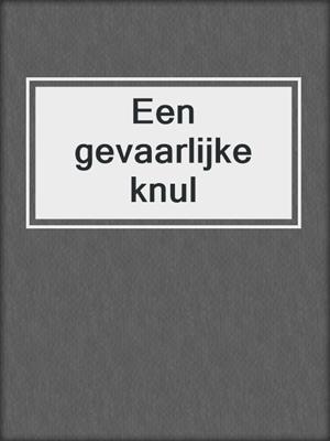 cover image of Een gevaarlijke knul