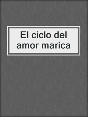 cover image of El ciclo del amor marica