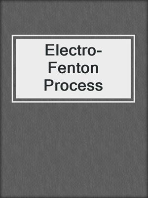 Electro-Fenton Process