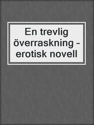 cover image of En trevlig överraskning – erotisk novell