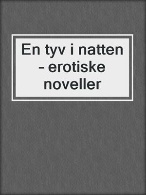 cover image of En tyv i natten – erotiske noveller