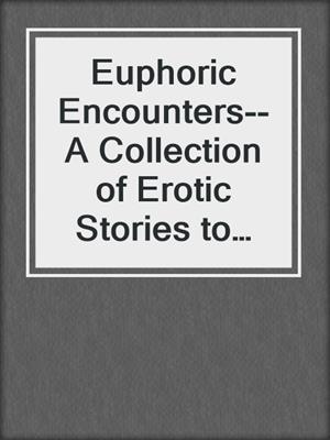 cover image of Euphoric Encounters--A Collection of Erotic Stories to Satisfy Your Desires