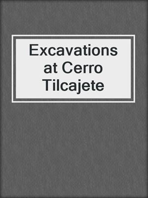 Excavations at Cerro Tilcajete