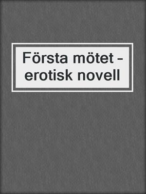 Första mötet – erotisk novell