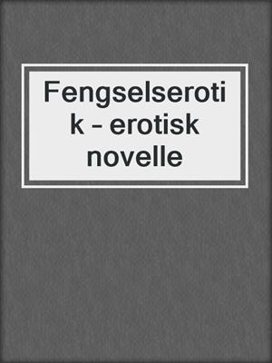 Fengselserotik – erotisk novelle