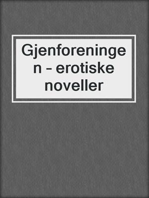 cover image of Gjenforeningen – erotiske noveller
