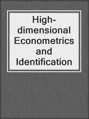 High-dimensional Econometrics and Identification