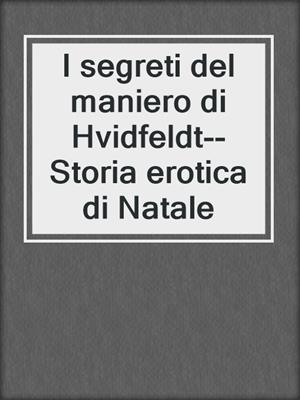 cover image of I segreti del maniero di Hvidfeldt--Storia erotica di Natale