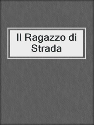 cover image of Il Ragazzo di Strada