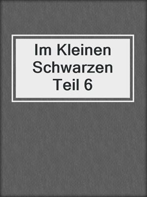 cover image of Im Kleinen Schwarzen Teil 6