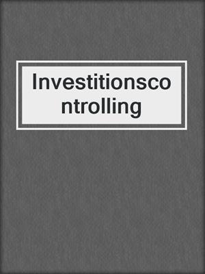 Investitionscontrolling