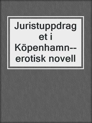cover image of Juristuppdraget i Köpenhamn--erotisk novell