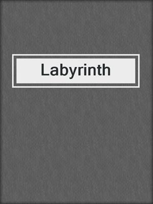 cover image of Labyrinth