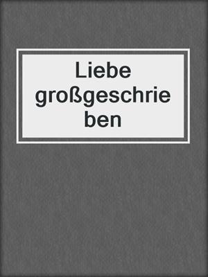 cover image of Liebe großgeschrieben